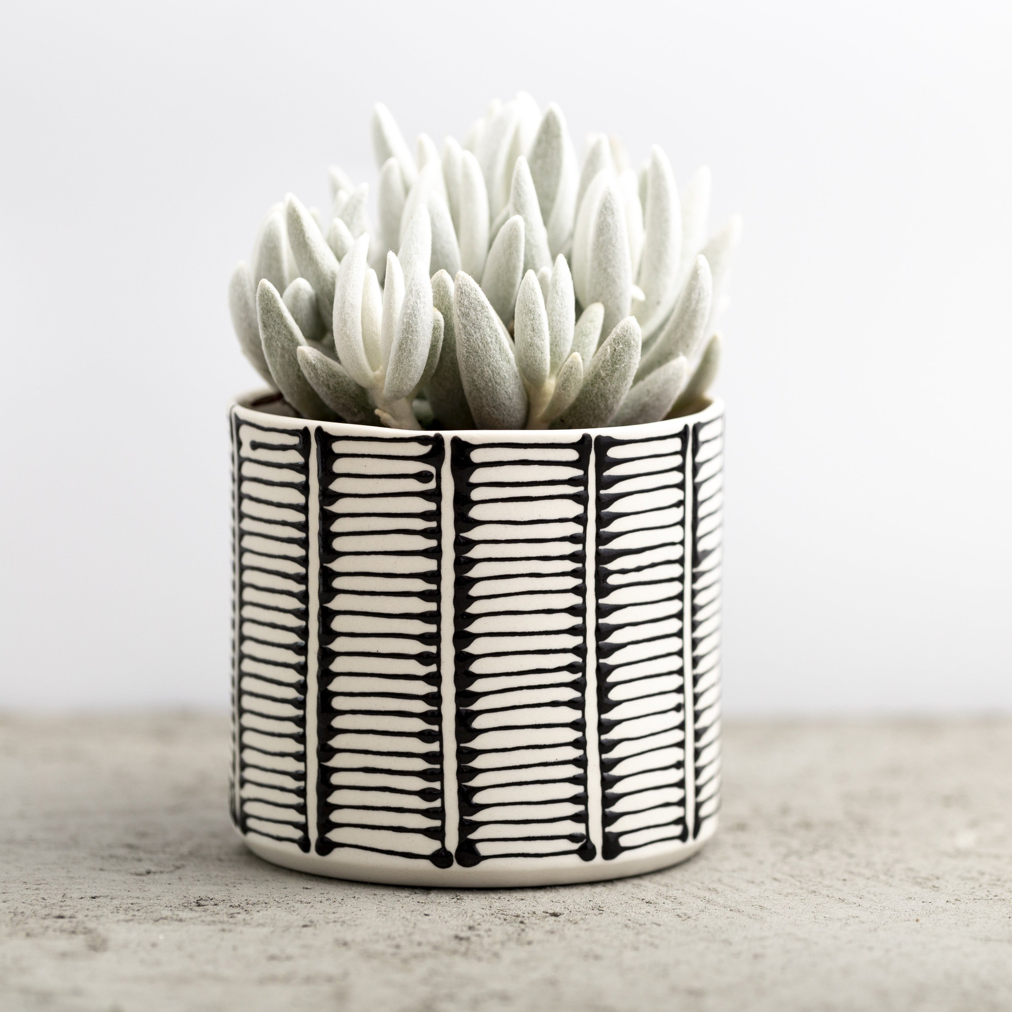 black and white striped plant pot Maiyan Ben Yona Ceramics